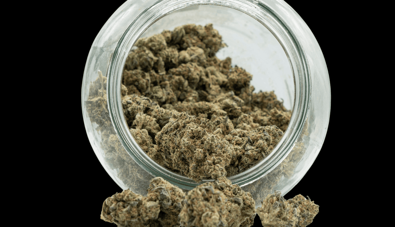 Cannabis-Blüten, die in und vor einem Glas liegen.
